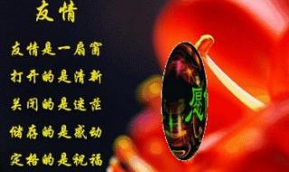 男人说交个知心朋友怎么回 我好想有个知心朋友