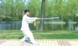 四十二式太极剑 四十二式太极剑