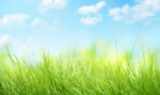 《悠悠寸草心1》曹家欣的扮演者是谁 悠悠寸草心第三部