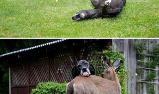 我要抱着你 我要抱着你