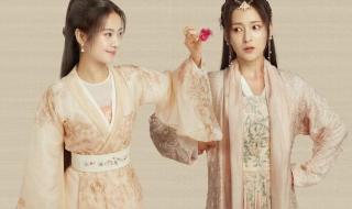 清风寨是哪部电视剧 清风寨是哪部电视剧