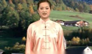 吴阿敏属于哪式太极 吴阿敏太极拳教程