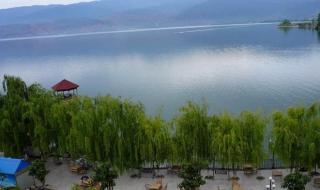 深圳市大鹏新区观海湾可以游泳么 深圳观海湾大沙滩