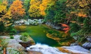 旺苍光头山和米仓山区别 米仓山国家森林公园