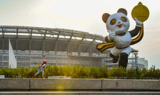 熊猫盼盼1990年北京亚运会吉祥物 1990年第十一届亚洲运动会吉祥物